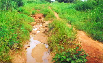 Photos: Ezeawulu laments poor road network, appeals Obiano for assistant