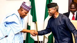52, 311 Borno children orphaned by Boko Haram insurgency – Gov. Shettima