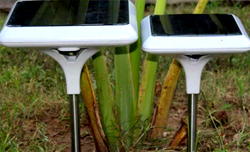 How agro-tech helps farmers increase productivity