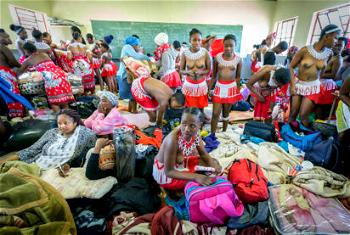 Photos: Zulu maidens prepare mini reed dance