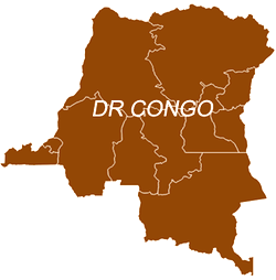 DR Congo halves budget in blow to Tshisekedi plans
