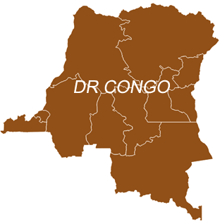 US blacklists DR Congo general and three rebel leaders