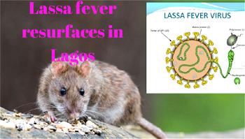 Lassa Fever: FG establishes Isolation Unit in FMC Keffi