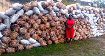 NDLEA uncovers cannabis deport in Lagos, arrests suspect