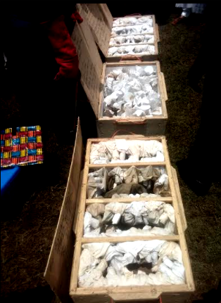 Environment Minister hands over boxes of snakes, spiders   to University of Uyo for reaseach