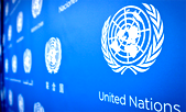 After UN win, Nigeria should return to work