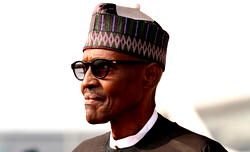 Ansarud-deen urges Buhari to shun distractions after recovery