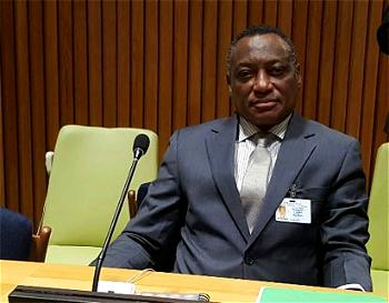 Nigeria seeks Russia’s cooperation to fight insurgents
