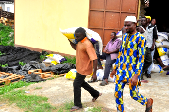 Nigerians to buy 50kg bag of rice N6, 000 soon- RIFAN
