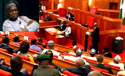 Video: NASS dares Buhari, halts 774,000 jobs programme, threatens court action