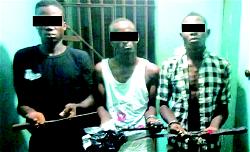 3 robbery suspects arrested with weapons in Enugu