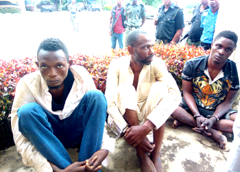 N15m for three breasts : How we killed three Ondo college female students for ritual —Suspects
