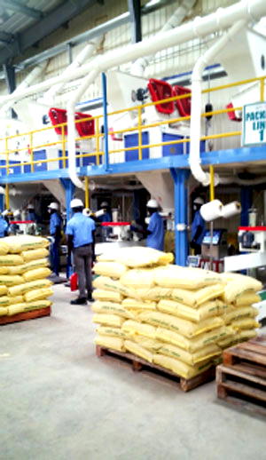 NatnuPreneur farmers enjoy 37.5% profit per annum on investment – Adewole