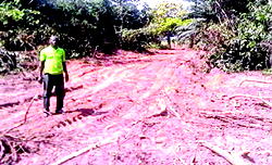 We’re under siege by Presco,  Delta communities cry out