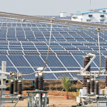 EU unveils solar tree, contributes 165m euros for renewable energy in Nigeria