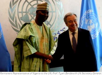 Breaking: Nigeria declares UN Security Council obsolete, undemocratic