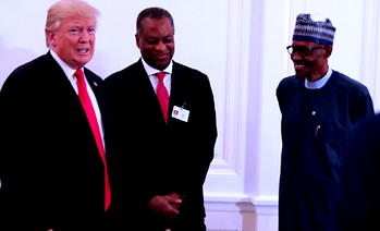 …going to Africa to ‘get rich’, Trump tells Buhari, others
