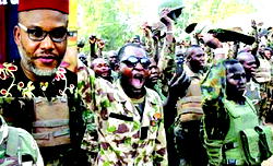 Operation Python Dance II: One week after