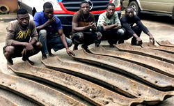 Senate wants maximum punishment for rail line vandals 