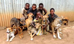 World rabies day:Global partners announce plan to end human deaths from dog-transmitted rabies by 2030