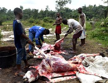 Butchers agree to partner Oyo State Govt. on centralised abattoir
