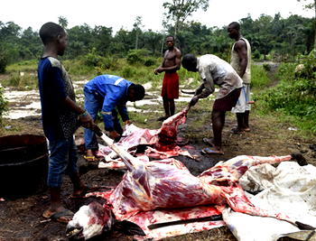 Agency raises alarm over poisonous meat in market