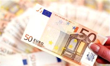 Euro steadies as dollar rally takes a pause