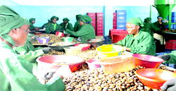 NEPC: Growing the non-oil sector to boost forex