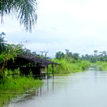Bayelsa facing environmental genocide  – Archbishop of York