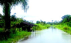 Delta man kills wife in Bayelsa