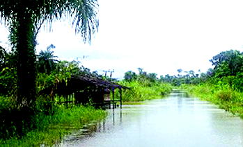 Delta man kills wife in Bayelsa