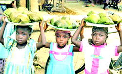 CHILD ABUSE: Signs of a dysfunctional society