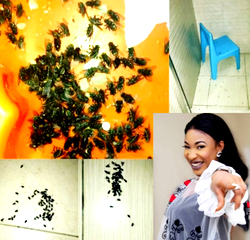 Tonto Dikeh goes  spiritual as  1000 flies invade son’s room
