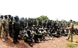 Army recovers rustled cows, assures residents of safety, security in Plateau