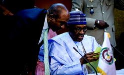 What Guardian Tortoise says about Buhari