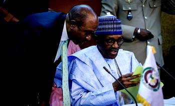 What Guardian Tortoise says about Buhari