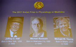 US biology trio wins Nobel Medicine Prize