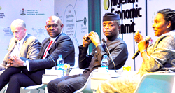 Recapitalize, sell DISCOs to new investors, Elemelu tells FG