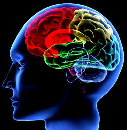 Workplace environment crucial to mental health of workers — PSYCHIATRIST