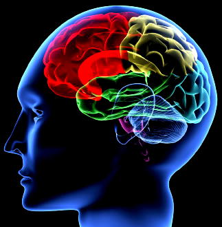 Workplace environment crucial to mental health of workers — PSYCHIATRIST