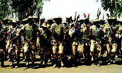 Drop nationwide ‘Operation Python Dance