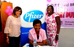 Stakeholders task FG on care, support for breast cancer patients