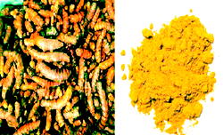 Turmeric has great health benefits but should be taken with caution