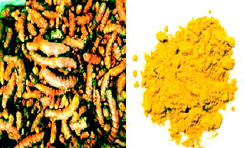 Turmeric has great health benefits but should be taken with caution