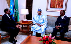 Nigeria Govt. to assembly West African countries to fight violent extremism – Presidency