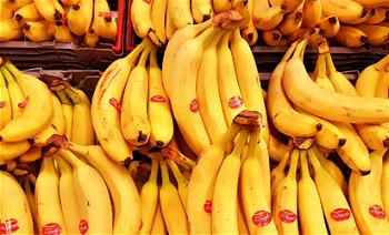 Alert: Imported banana floods Abuja markets