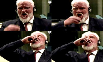 Dutch govt probes death of Praljak Bosnian war criminal