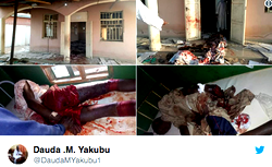 Adamawa: 105 killed in Mubi, Numan attacks