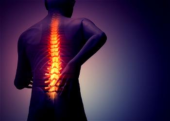 HEALTH: Back pain, neck pain treatable with physiotherapy