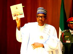 Photos: President Buhari launched NAT action plan on violent extremism
